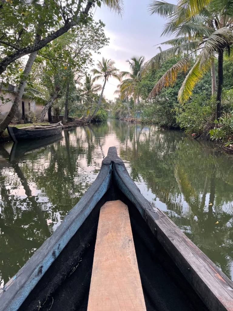 Cruising through Kerala backwaters