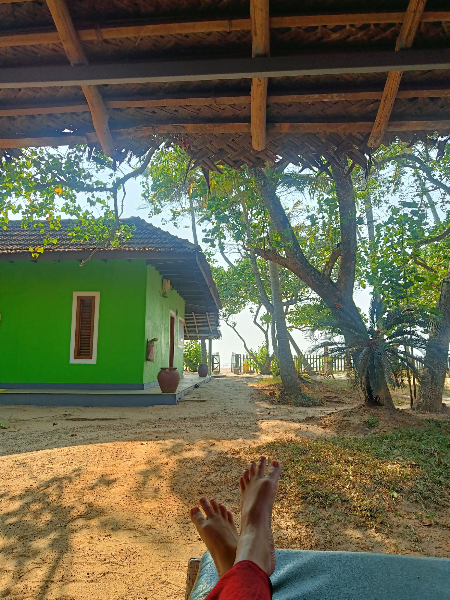 green color cottage in day time
