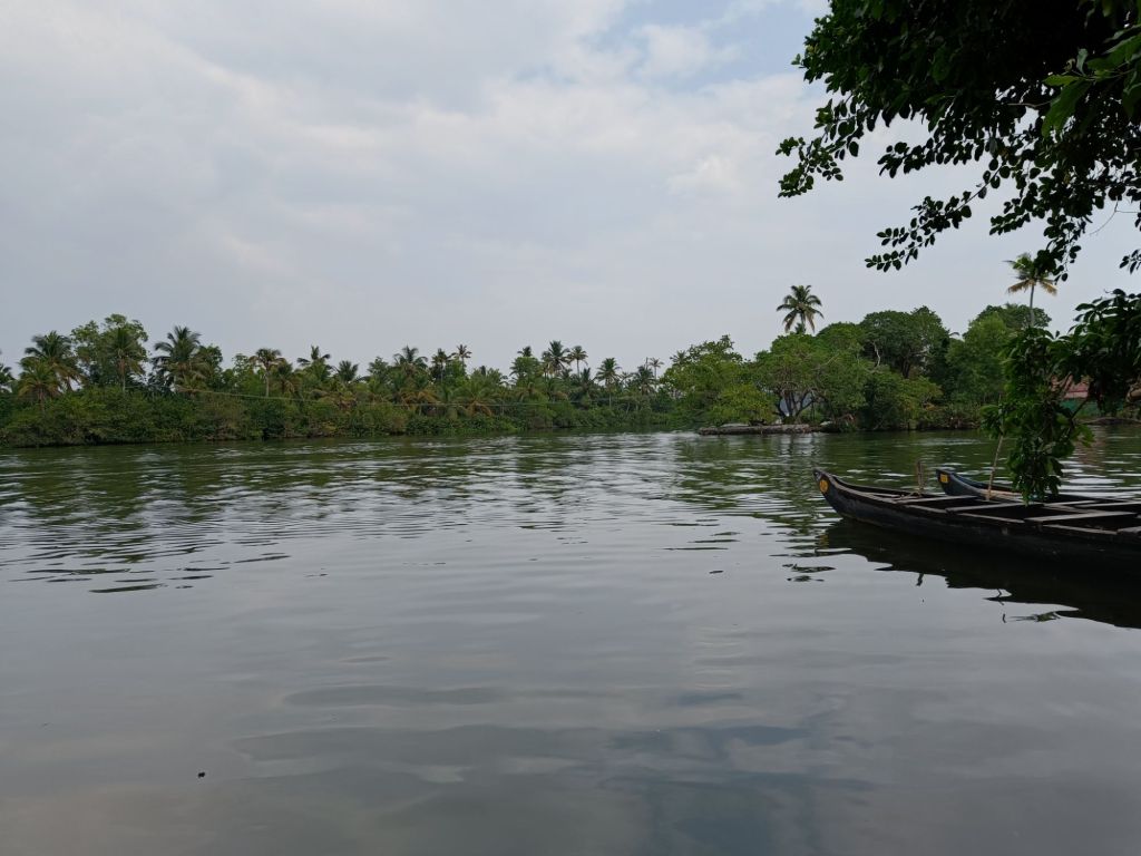 backwater in munroe island review