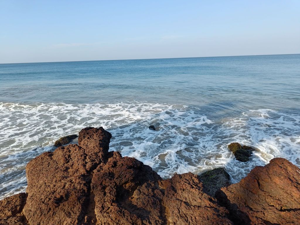 bcanti resort varkala review