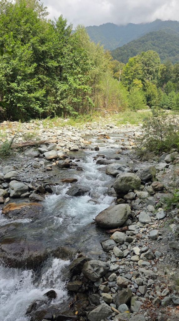 River flowing in the lagodekhi national park