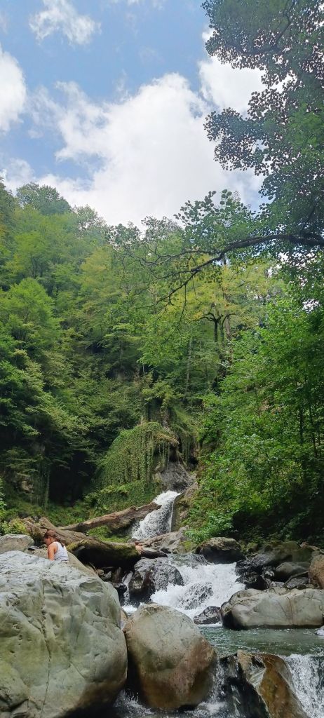Black grouse ( rocho) waterfall at the lagodekhi national park