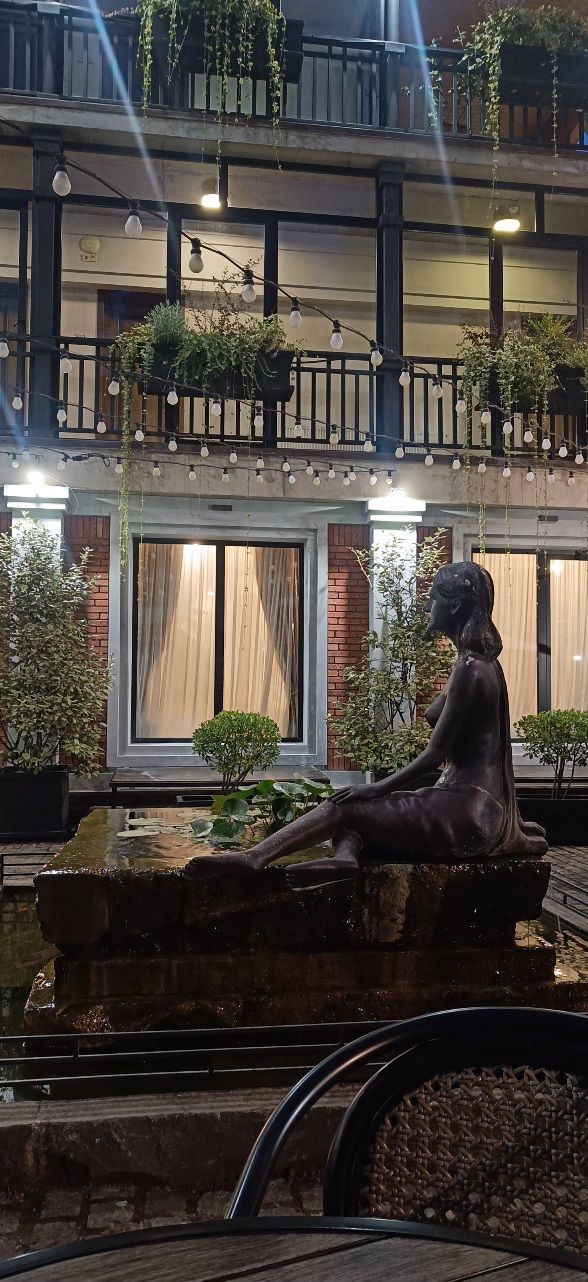 Seventeen rooms hotel telavi