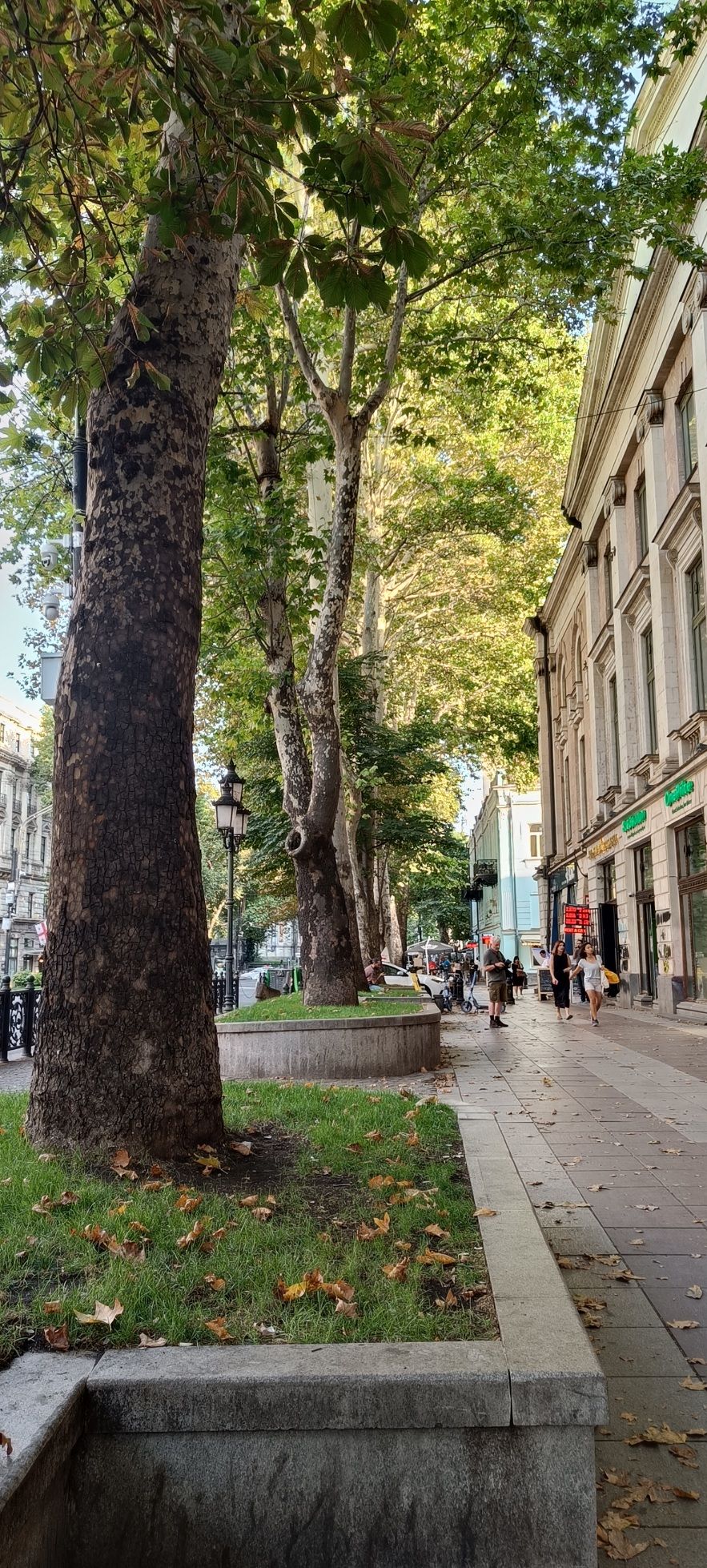 footpath on rustaveli avenue, tbilisi